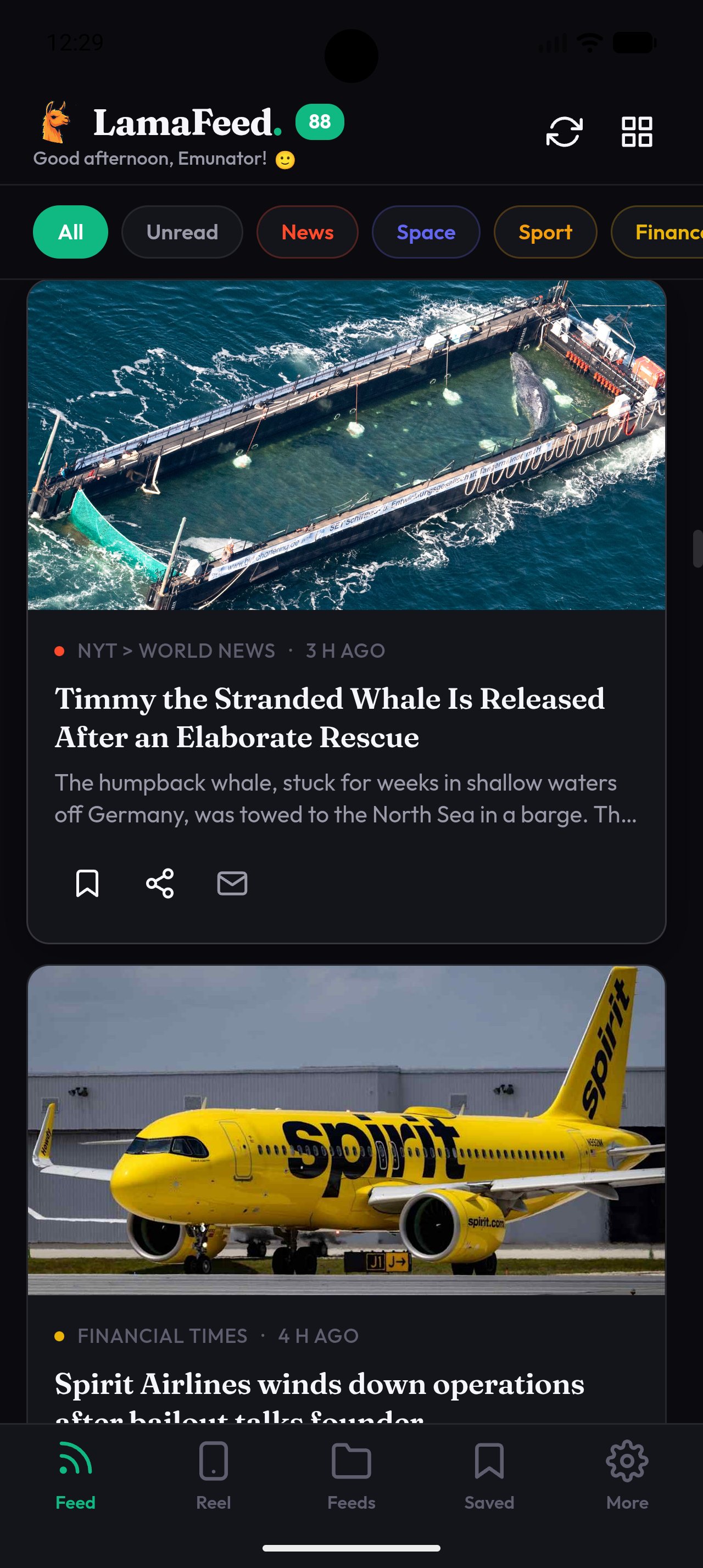 LamaFeed Feed Screen